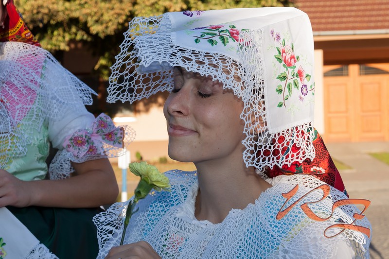 IMG 3684