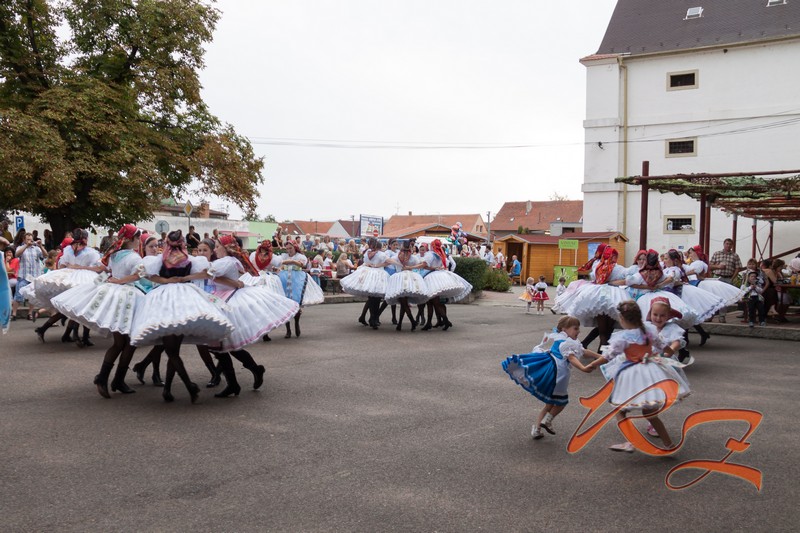 IMG 2424
