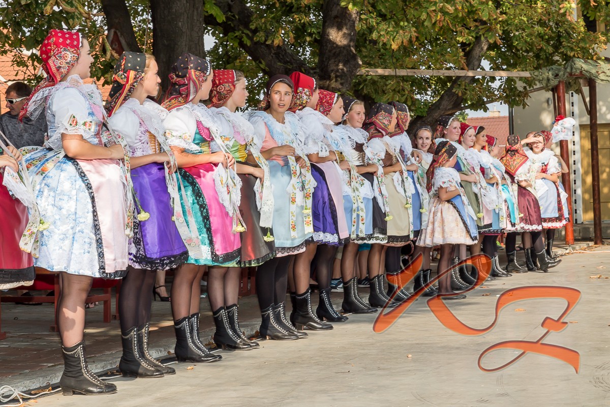 IMG A341