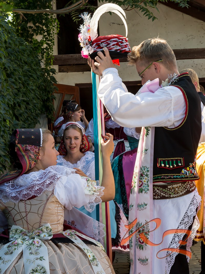 IMG 7040