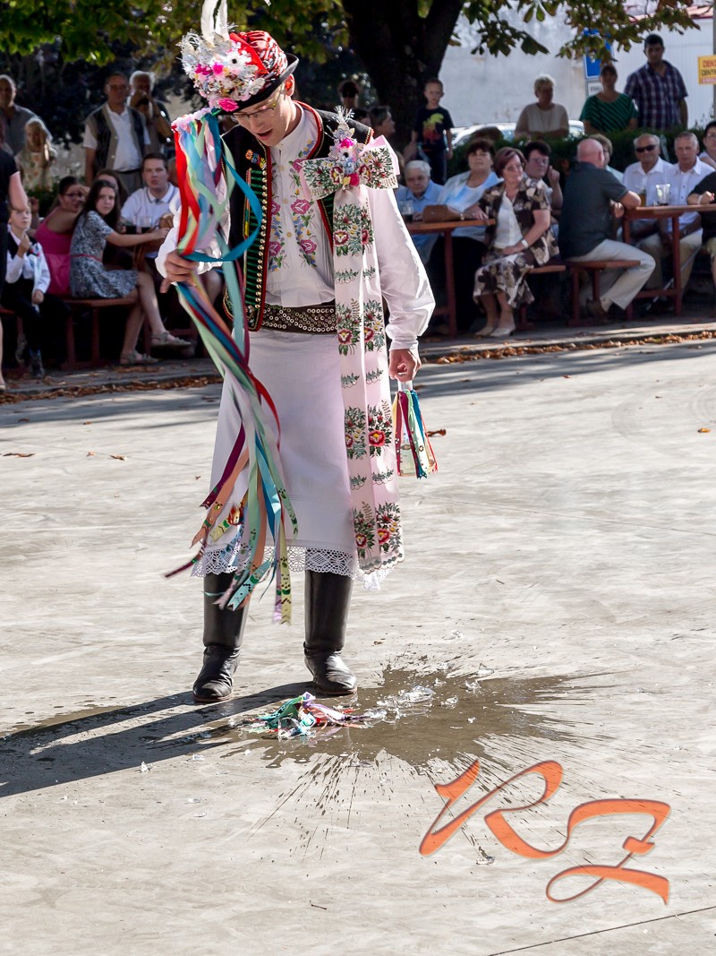 IMG 7328