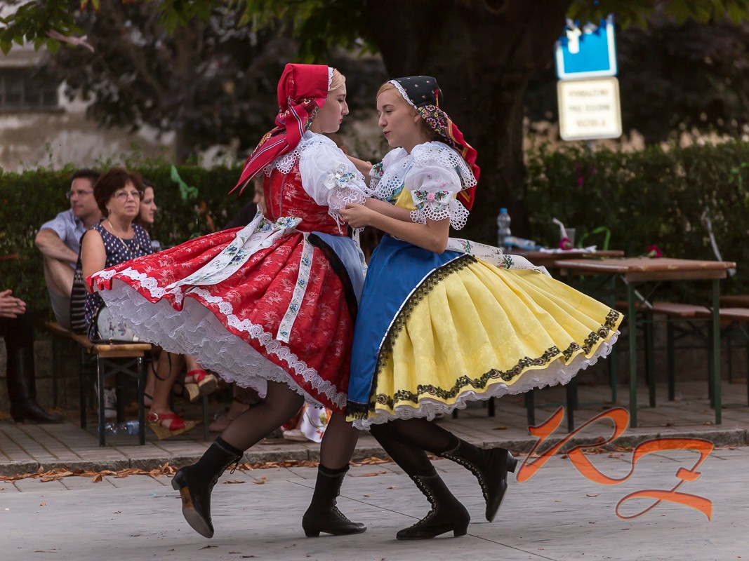 IMG 7567