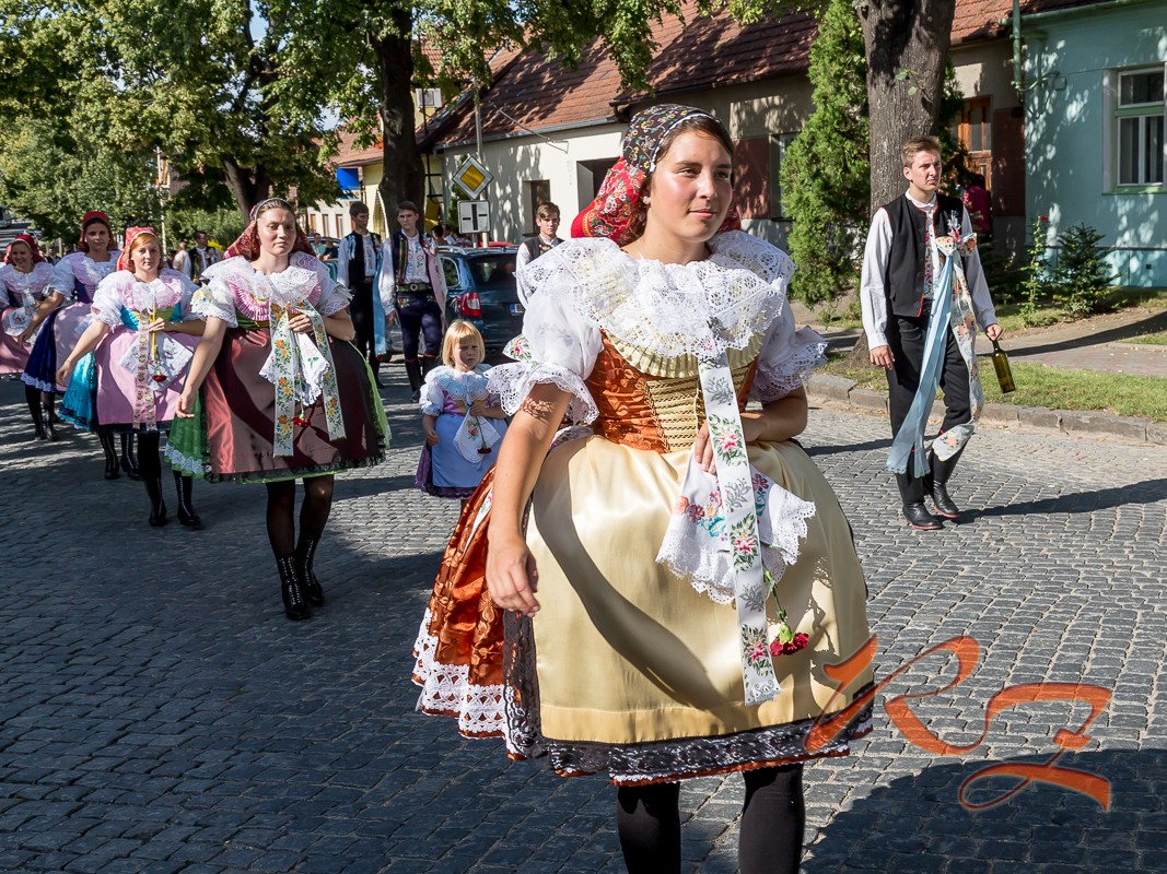 IMG 41391