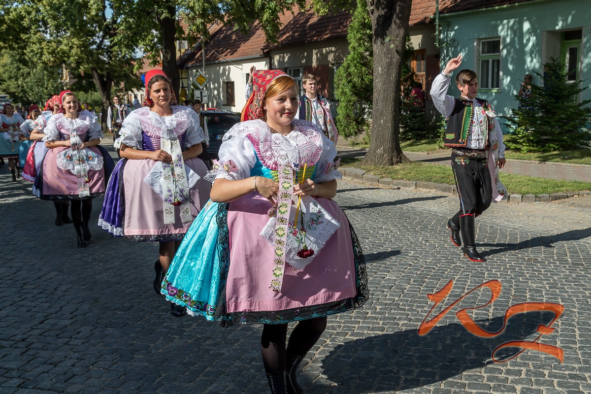 IMG 4140