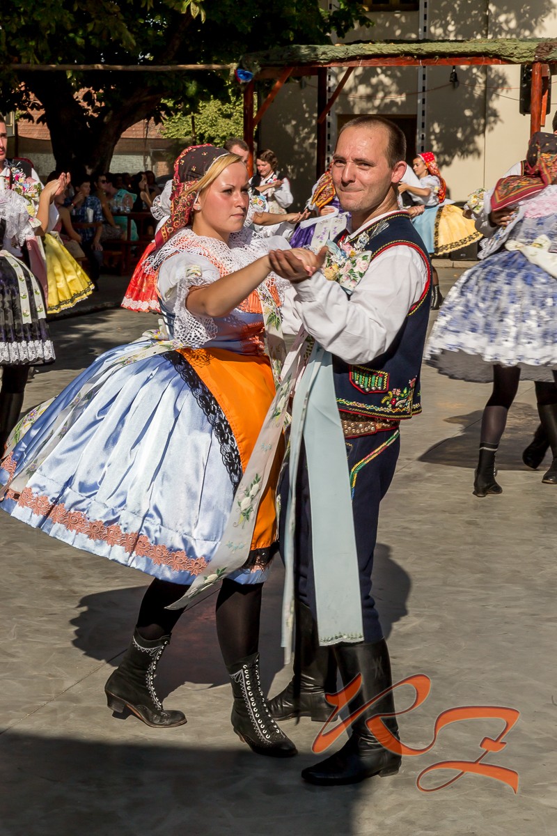IMG 4308