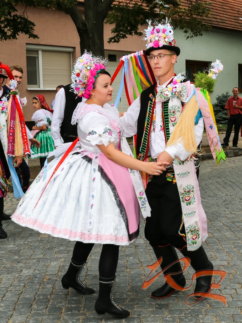 IMG 0084