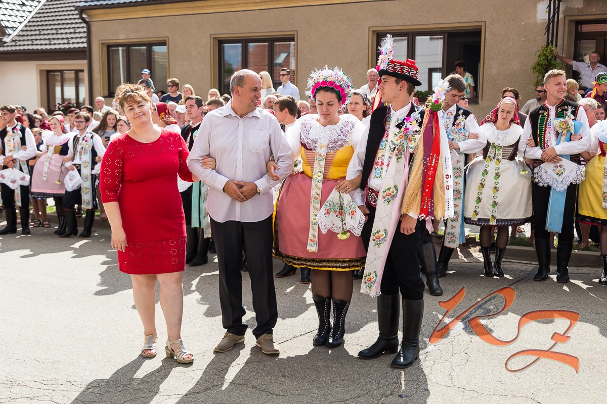 IMG 7982