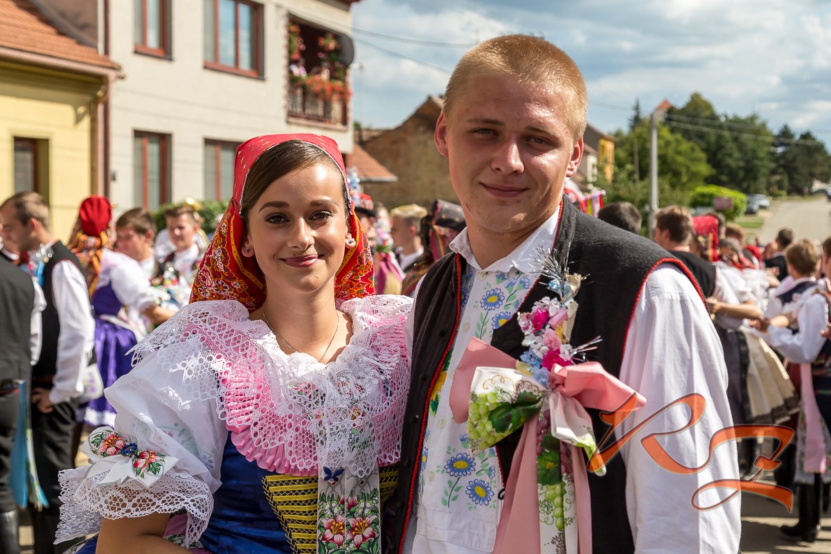 IMG 7987