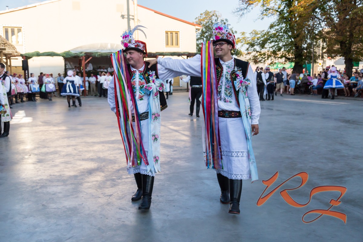 IMG 8976