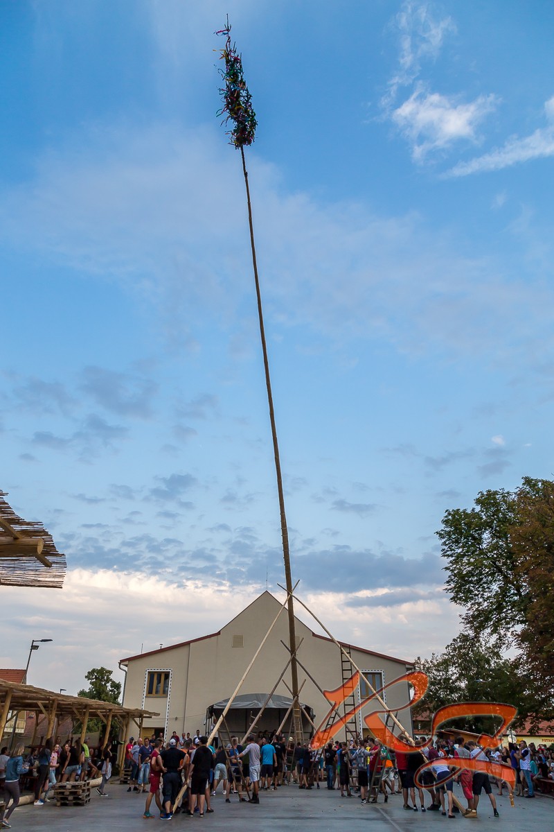 IMG 7756