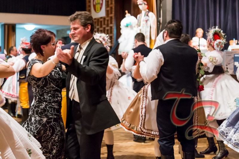 IMG 6178