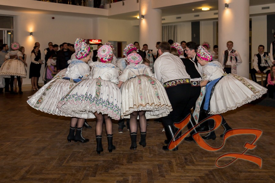 IMG 9914