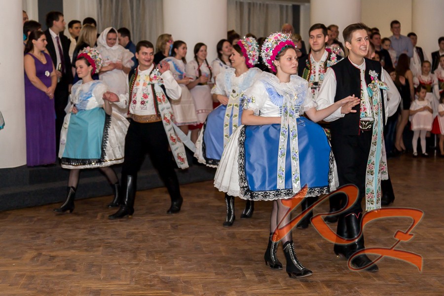 IMG 9977